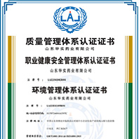 iso质量体系认证